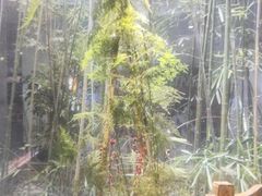-袁亮今日陶艺(苹果社区总店)