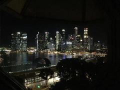 -新加坡丽思卡尔顿美年酒店