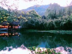-杭州花家山庄