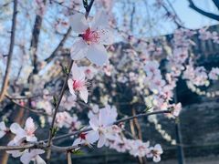-三里河公园