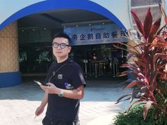 -帝企鹅自助餐厅•儿童岛•真企鹅(长隆企鹅酒店)