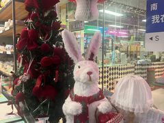 -大型宠物商超·宠海王国·宠物猫狗活体·用品·美容(新世界百货重庆店)