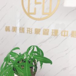 -韩美绣·骨相纹眉·洗眉美瞳线