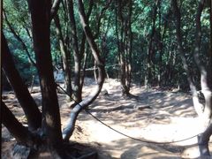-白马涧龙池景区