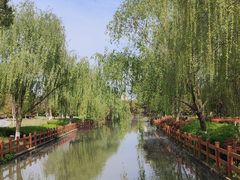 -九科绿洲