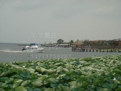 -丫丫蟹庄·苏式园林农家乐·阳澄湖大闸蟹(阳澄湖莲花岛店)