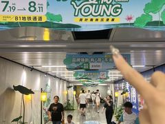 -金茂览秀城