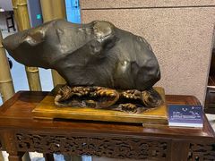 -中华赏石园