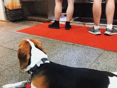 -新疆喀什烤肉饭店(红松路店)