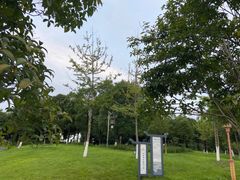 -眉山湿地公园(东坡区)