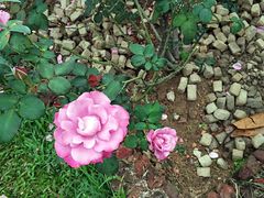 -人民公园(罗湖区)