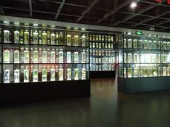 -广东中医药博物馆