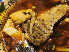 -费明中罗非鱼(大石坝店)