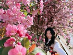 -长白岛森林公园