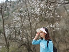 -大觉寺-停车场