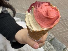 -Gelateria Dondoli