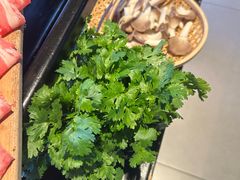 -辣伍鲜毛肚老火锅(元一店)