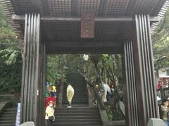 -金盆阿嬷香菇茶叶蛋(玄光店)