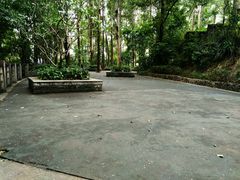 -南岗山公园