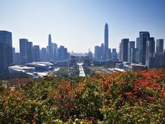 -莲花山公园