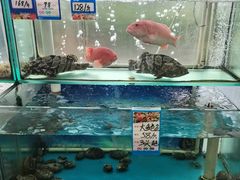 -金沙滩海鲜餐厅·海肠捞饭·手工水饺(梅江龙水园店)