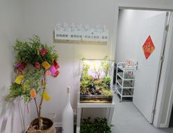 -苗塑堂减肥·艾灸