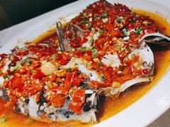 -洞庭家宴·头牌甲鱼(广渠门店)