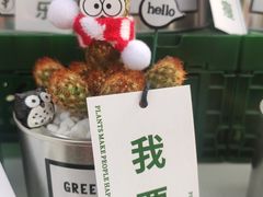 -ZARA(成都远洋太古里店)