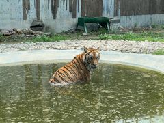 -五龙山野生动物王国