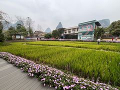 -明仕田园