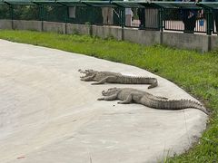 -秦皇岛野生动物园