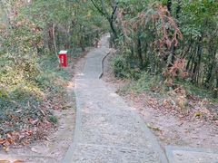 -上海佘山国家森林公园天马山园