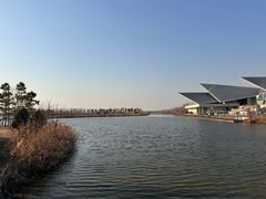 -盐城丹顶鹤湿地生态旅游区