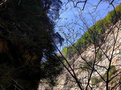 -少华山国家森林公园