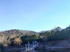 -南京老山国家森林公园