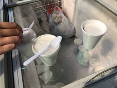 -洪馨椰子