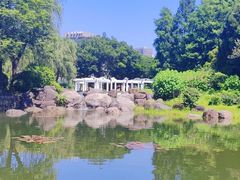 -新虹桥中心花园