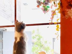 -IFIF 如果花園(宽厚里店)