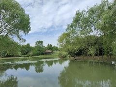 -长广溪湿地公园