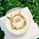 舌尖上的宝藏蛋糕🍰，我们一起来记录📸
