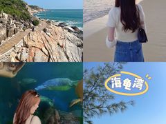 -广东惠东海龟国家级自然保护区