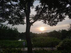 -西溪国家湿地公园