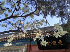 -万寿八仙宫