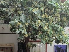 -忆江南·生态餐饮宴会酒店