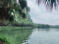 -星湖旅游景区七星岩