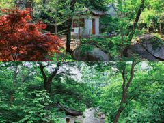 -崂山仰口游览区