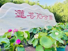 -莲花池公园
