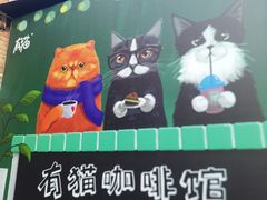 -有猫主题·治愈系猫咖(曾厝垵店)