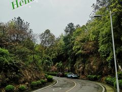 -铁山坪森林公园