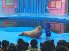 -华夏文旅海洋公园